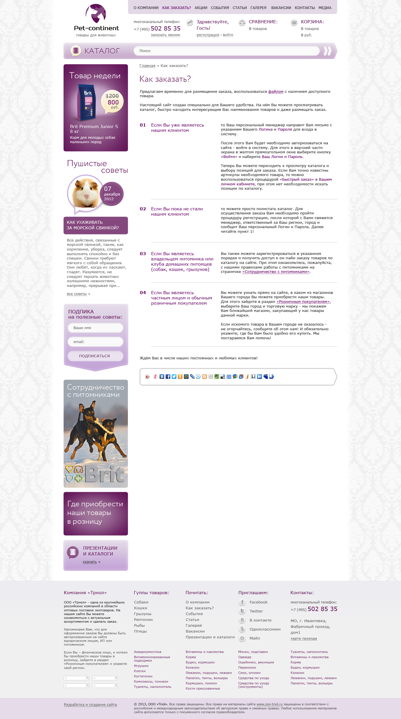 Дизайн интернет-магазина «Pet-continent» магазин товаров для животных - Как заказать (шаблон текстовой страницы)