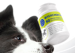 Создание упаковки для ветеринарных препаратов «VIC» - здоровье животных.