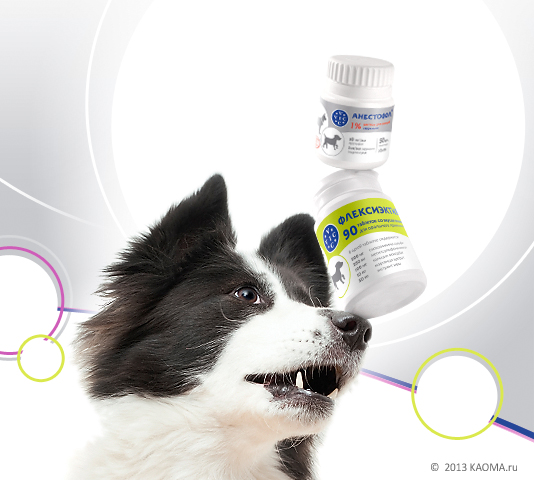Создание упаковки для ветеринарных препаратов &laquo;VIC&raquo; - здоровье животных.